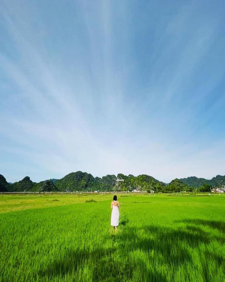 Jungle Boss Travel Lodge Phong Nha Esterno foto
