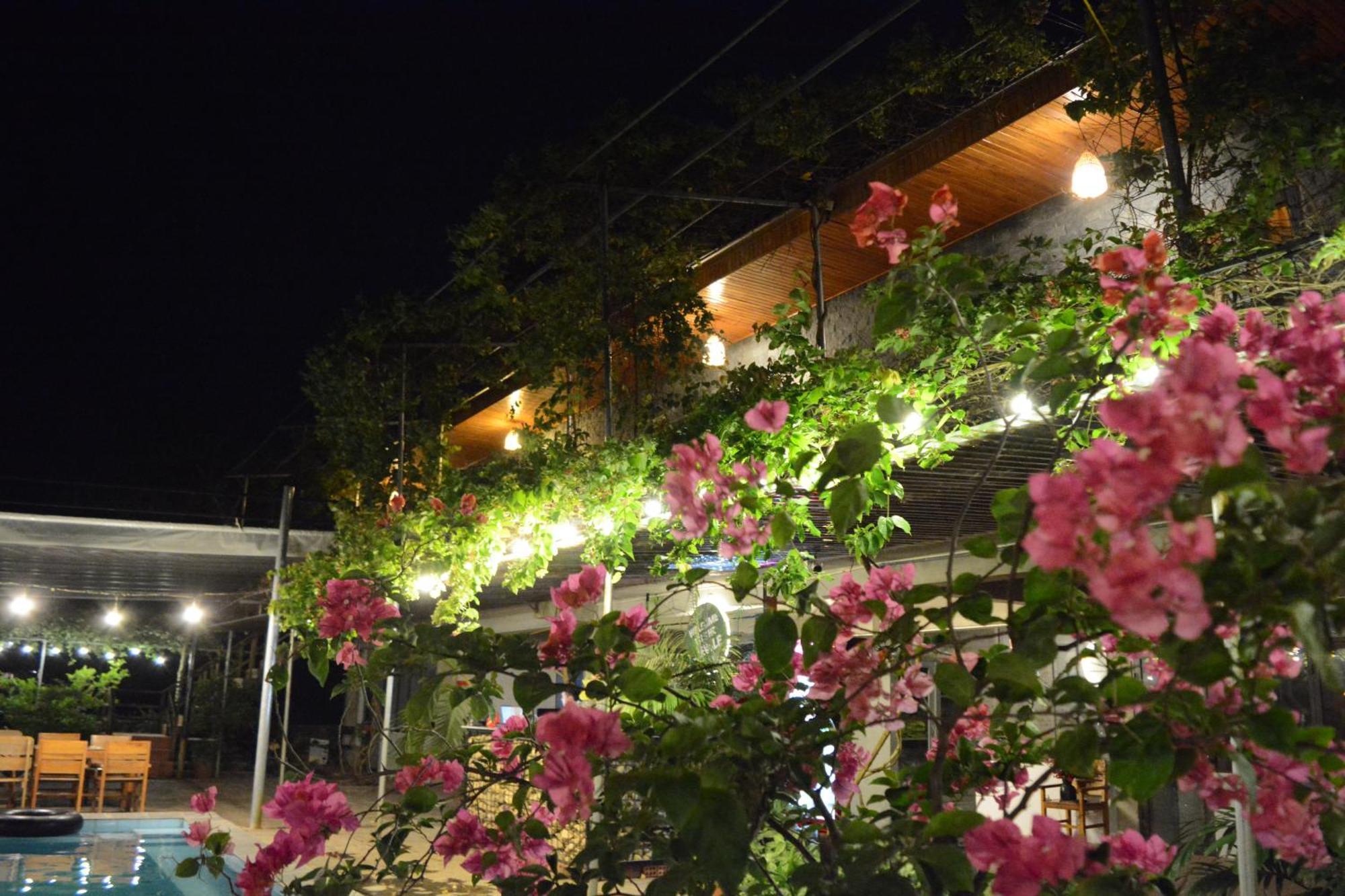 Jungle Boss Travel Lodge Phong Nha Esterno foto