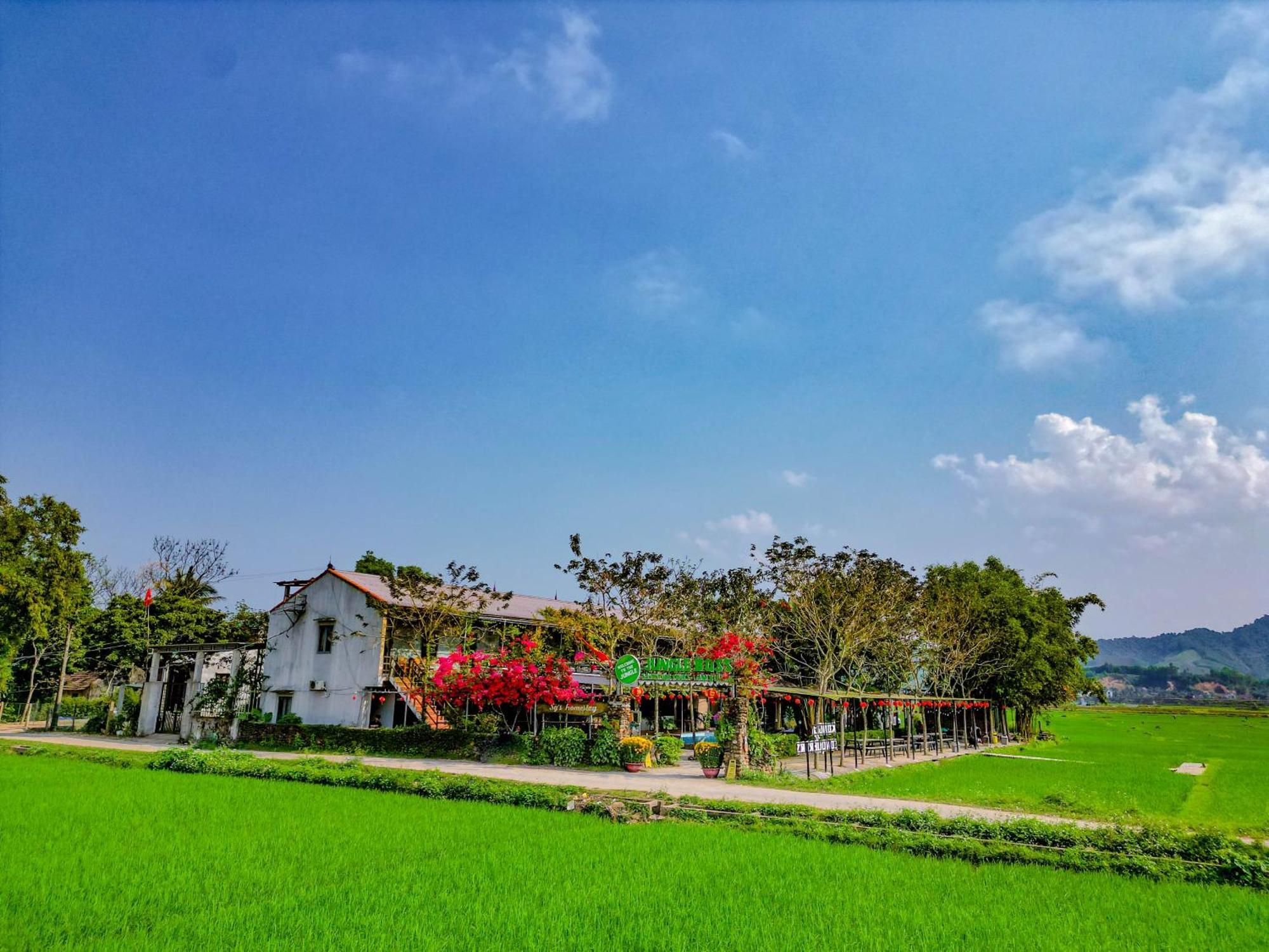 Jungle Boss Travel Lodge Phong Nha Esterno foto