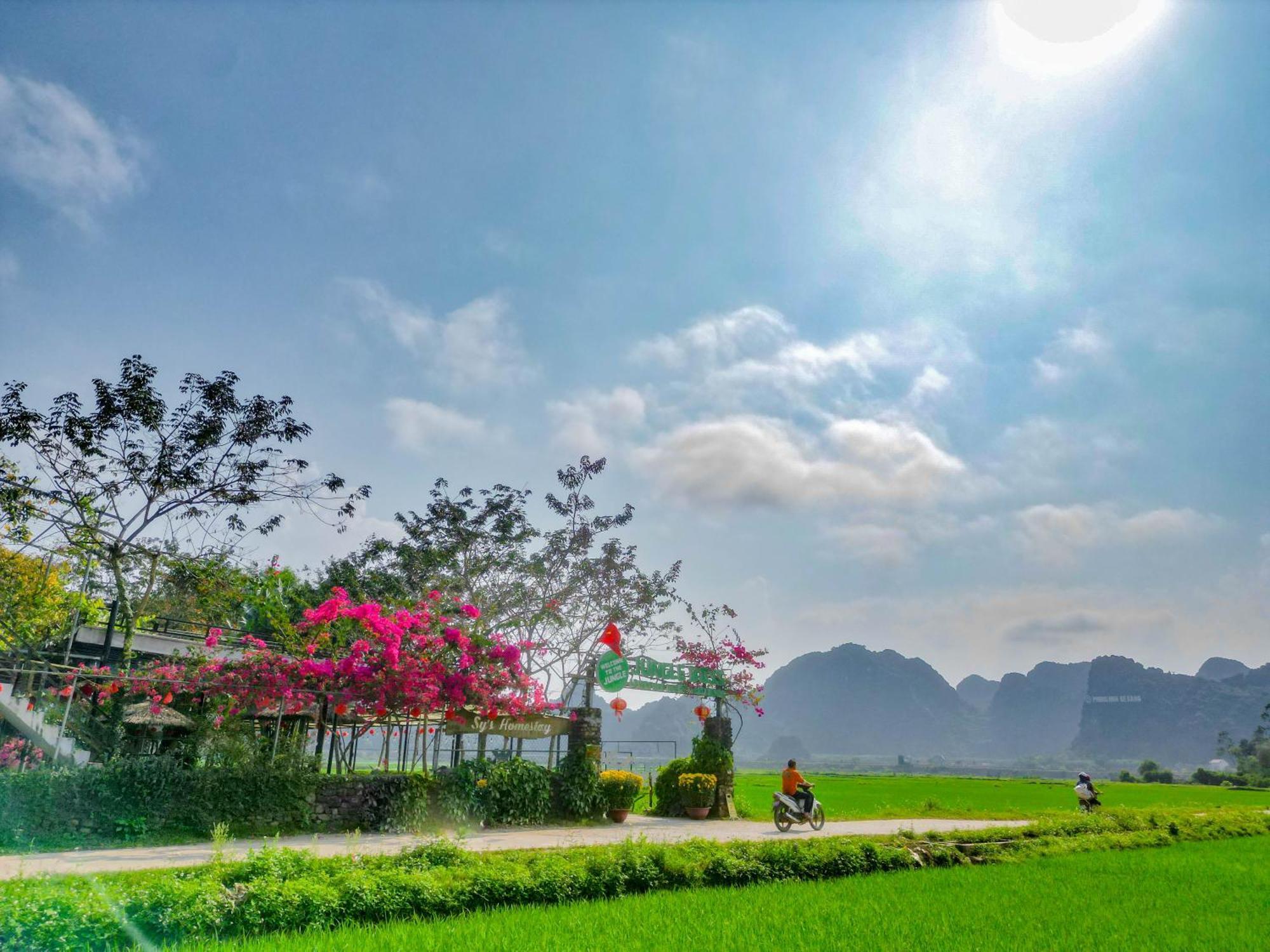 Jungle Boss Travel Lodge Phong Nha Esterno foto