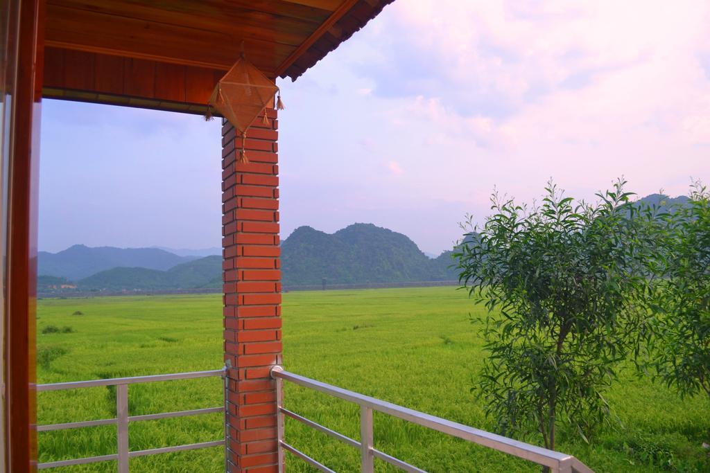 Jungle Boss Travel Lodge Phong Nha Esterno foto