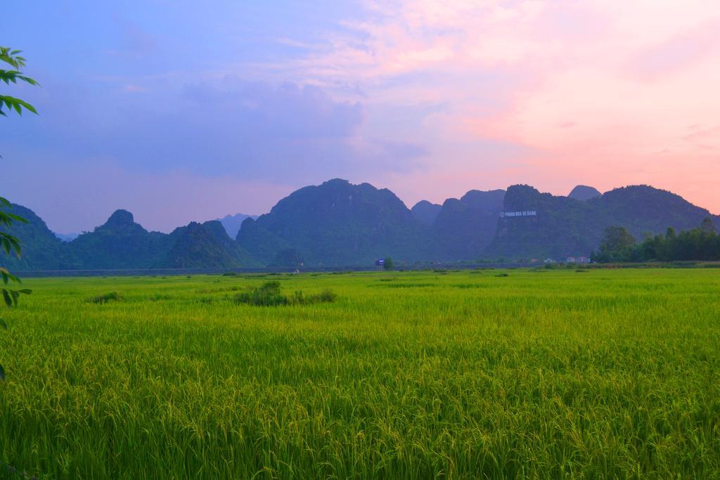 Jungle Boss Travel Lodge Phong Nha Esterno foto